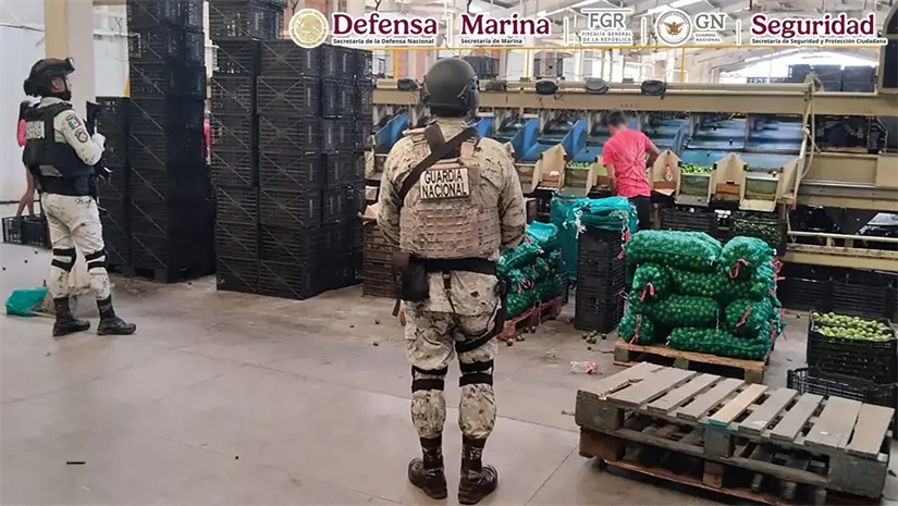 Golpe a la delincuencia en Michoacán decomisan cartuchos, cargadores y artefactos explosivos