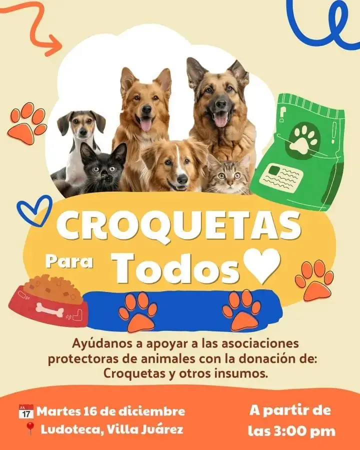 Participa donando croquetas. La iniciativa busca mejorar la calidad de vida de animales en condición de calle mientras esperan ser adoptados.
