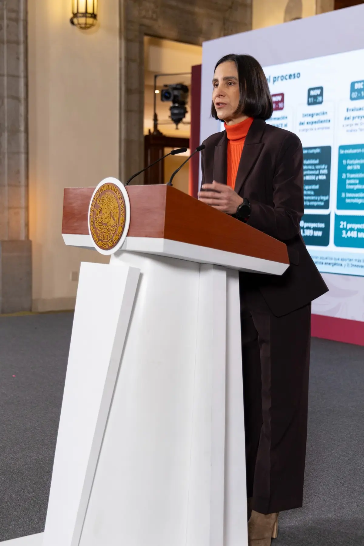 Luz Elena González Escobar, secretaria de Energía