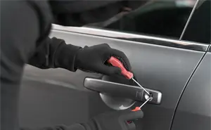 La Seguridad Vehicular de Cero Suscripción que Debes Conocer.