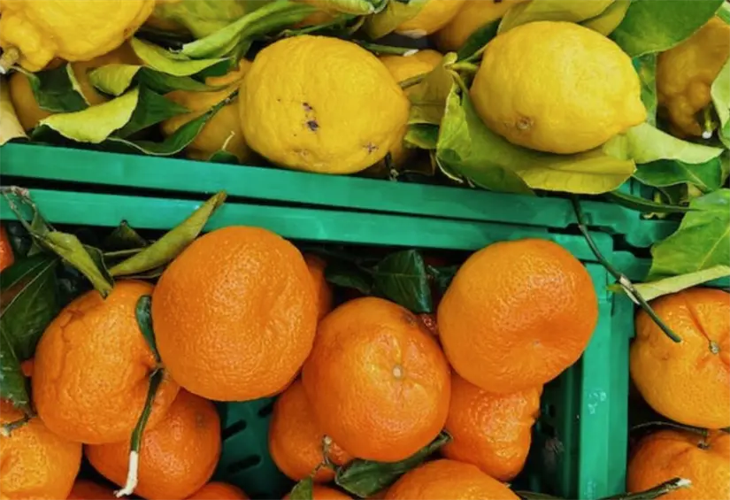 Consumir alimentos de temporada invernal, ayudarán al sistema inmunológico. Foto: cortesía.