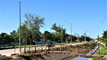 El Canal Cañedo, el sistema que impulsó la producción de caña y continúa activo en Navolato