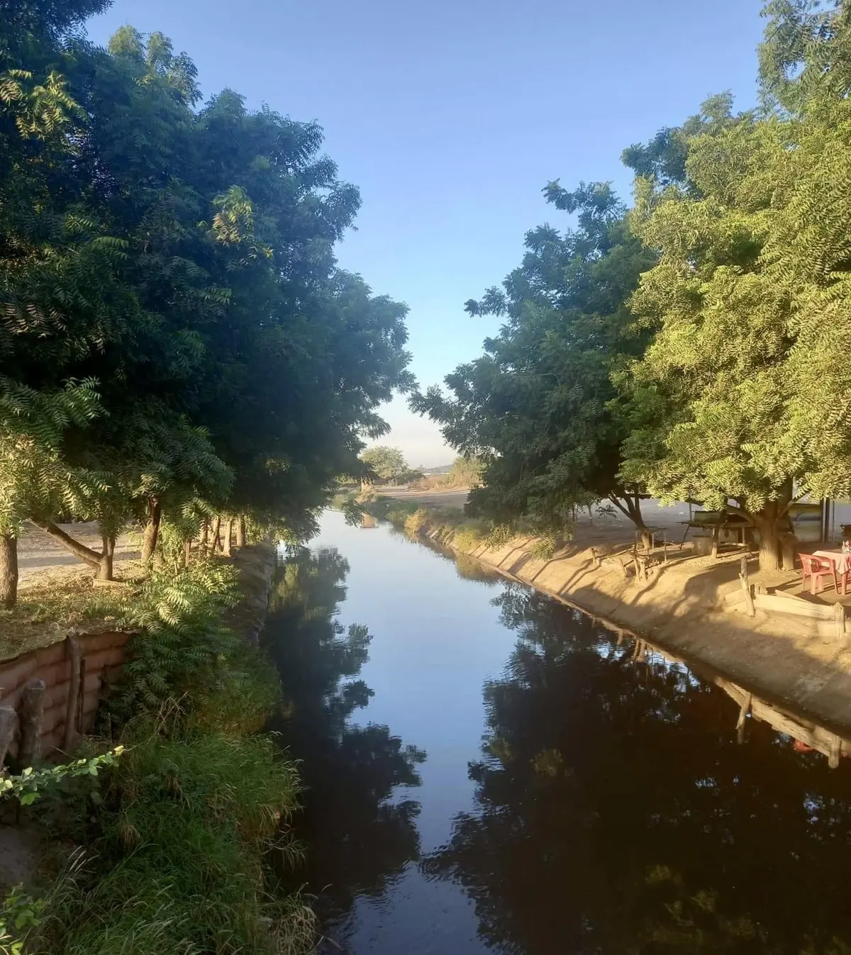 El Canal Cañedo representa la historia productiva de Navolato y sus mejores años cañeros. Foto: Rudy Mendoza.