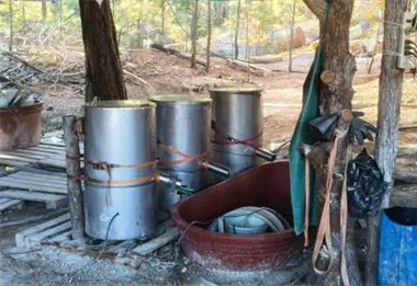 Operativos federales en Jalisco y Durango: detienen a líder criminal y desmantelan laboratorio clandestino