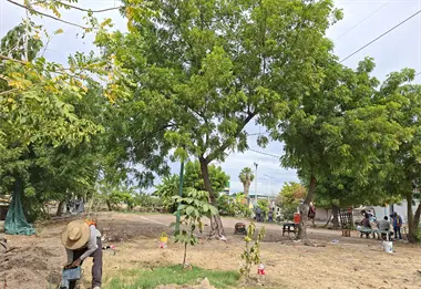 Un sue&ntilde;o comunitario hecho realidad: renace la cancha de voleibol &acute;La 15&acute; en el bulevar Agricultores en Culiac&aacute;n