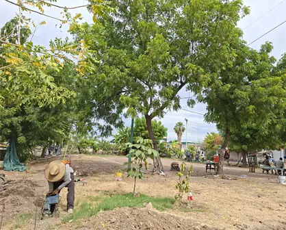 Un sue&ntilde;o comunitario hecho realidad: renace la cancha de voleibol &acute;La 15&acute; en el bulevar Agricultores en Culiac&aacute;n