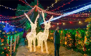 5 lugares en México donde la Navidad se vive con más magia que nunca