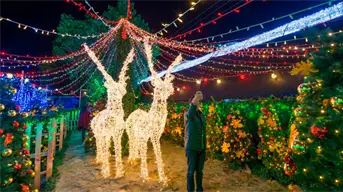 5 lugares en México donde la Navidad se vive con más magia que nunca