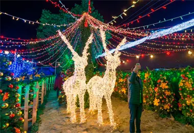 5 lugares en M&eacute;xico donde la Navidad se vive con m&aacute;s magia que nunca