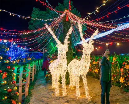 5 lugares en M&eacute;xico donde la Navidad se vive con m&aacute;s magia que nunca