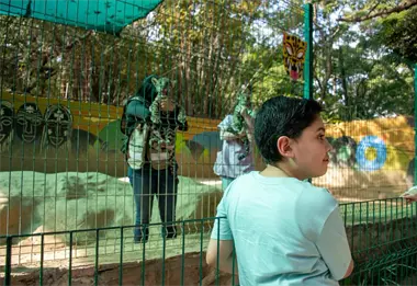 &iexcl;Entrada gratuita! Zool&oacute;gico de Culiac&aacute;n da la bienvenida a dos nuevos capibaras con festejo navide&ntilde;o