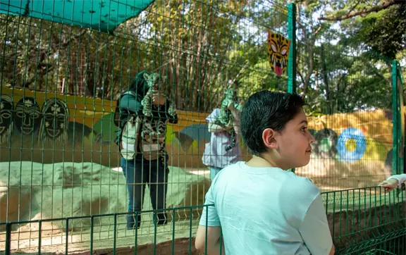 &iexcl;Entrada gratuita! Zool&oacute;gico de Culiac&aacute;n da la bienvenida a dos nuevos capibaras con festejo navide&ntilde;o