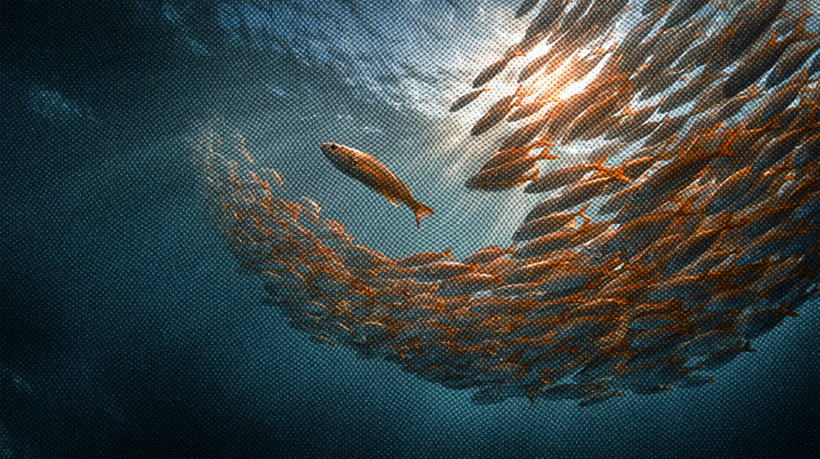 Adaptación al cambio