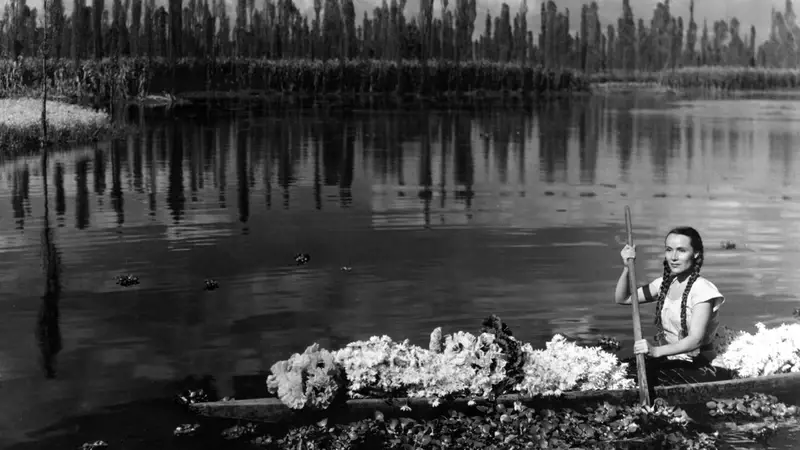 Estas son las consideradas mejores películas. Foto: Cortesía