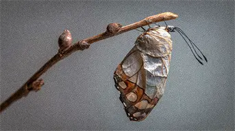 Adaptación al cambio