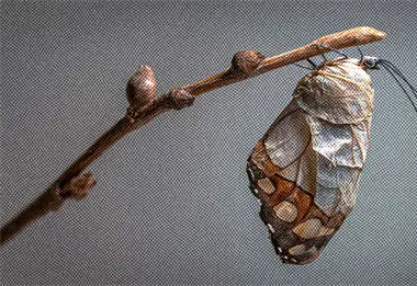 Adaptaci&oacute;n al cambio