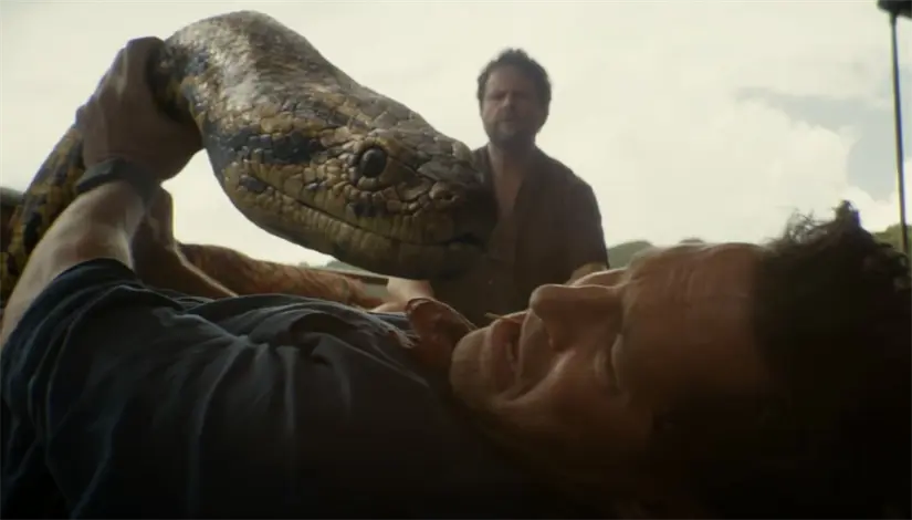 Anaconda. Foto: Cortesía