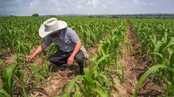 INEGI: En octubre, actividad económica de México aumentó 1.6%