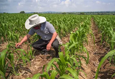 INEGI: En octubre, actividad econ&oacute;mica de M&eacute;xico aument&oacute; 1.6%
