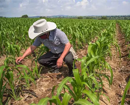 INEGI: En octubre, actividad econ&oacute;mica de M&eacute;xico aument&oacute; 1.6%