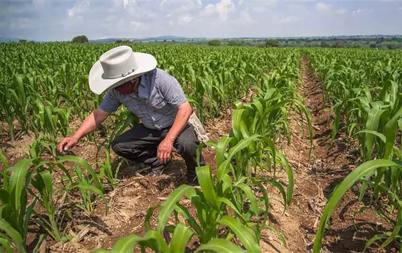 INEGI: En octubre, actividad econ&oacute;mica de M&eacute;xico aument&oacute; 1.6%