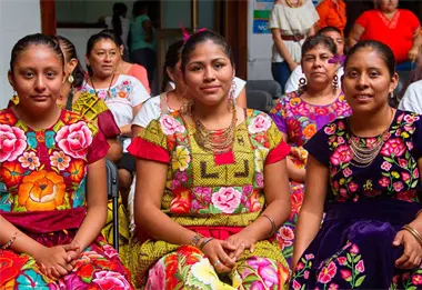 Migrantes Nahuas aliados de la agricultura de Sinaloa con mano de obra especializada