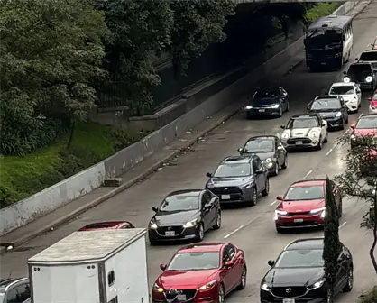 Refrendo vehicular en Baja California: &iquest;Ser&aacute; obligatorio en 2026?