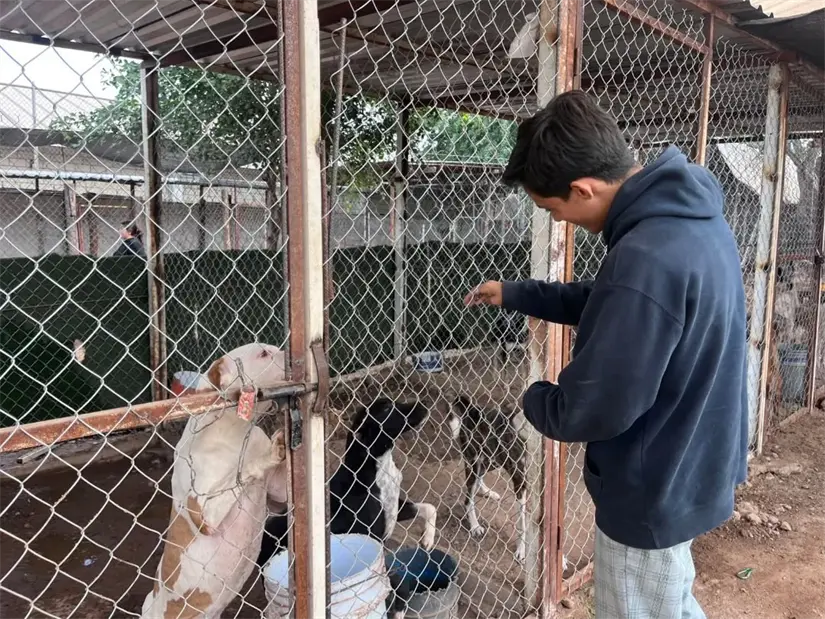 Jóvenes de COBAES 24 demuestran que la educación también es amor hacia los animales. Foto: Cortesía/TBN