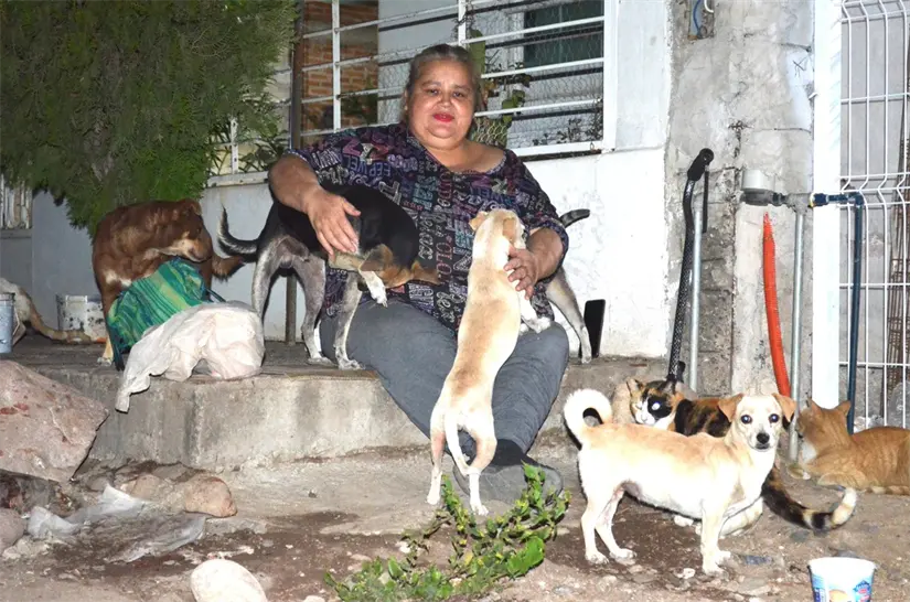 Amor y esperanza en la colonia Buenos Aires: Cinthya Bejarano todos los días alimenta y brinda protección a perros y gatos. Foto: Juan Madrigal
