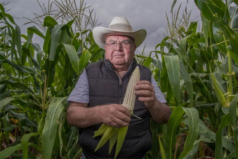 Documentos para actualizar tus datos de Producción para el Bienestar. Foto: Cortesía