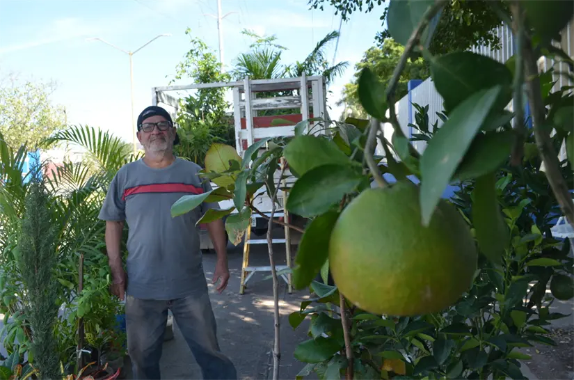 Su amor por la naturaleza nació en la infancia y hoy se refleja en cada planta que rescata y vende. Foto: Juan Madrigal