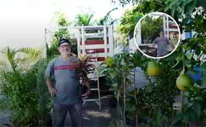 Entre árboles y plantas a sus 73 años, Elías Uribe siembra vida y esperanza en Culiacán