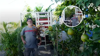 Entre árboles y plantas a sus 73 años, Elías Uribe siembra vida y esperanza en Culiacán