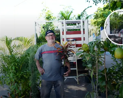 Entre &aacute;rboles y plantas a sus 73 a&ntilde;os, El&iacute;as Uribe siembra vida y esperanza en Culiac&aacute;n