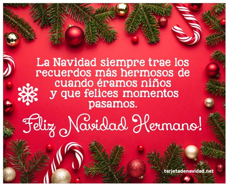 Comparte bonitas frases cortas para tus hermanos en redes sociales. Foto: Cortesía.