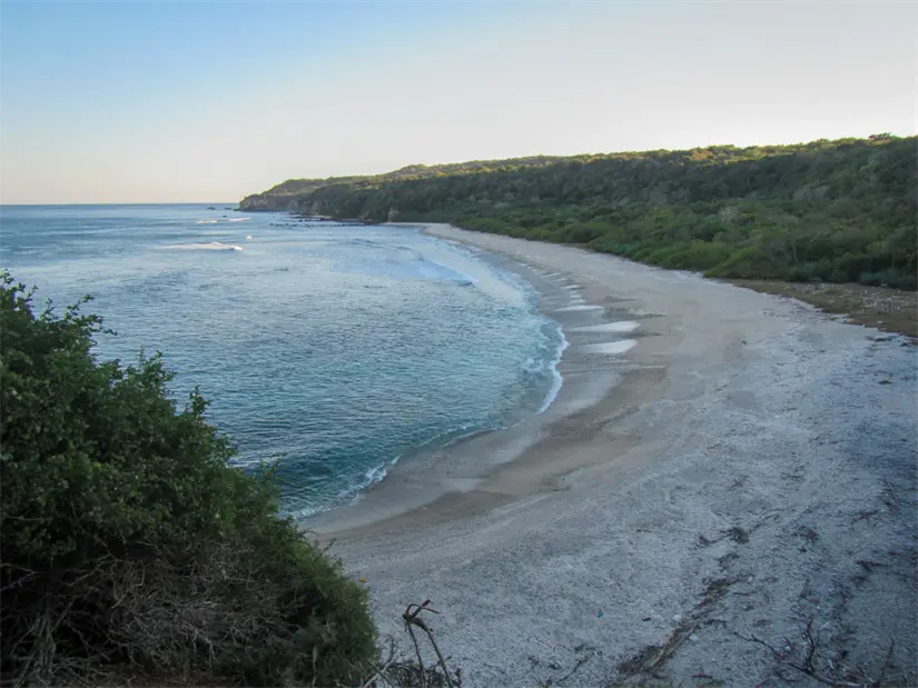 Islas Marías es una de las mejores joyas escondidas. Foto: Cortesía. 