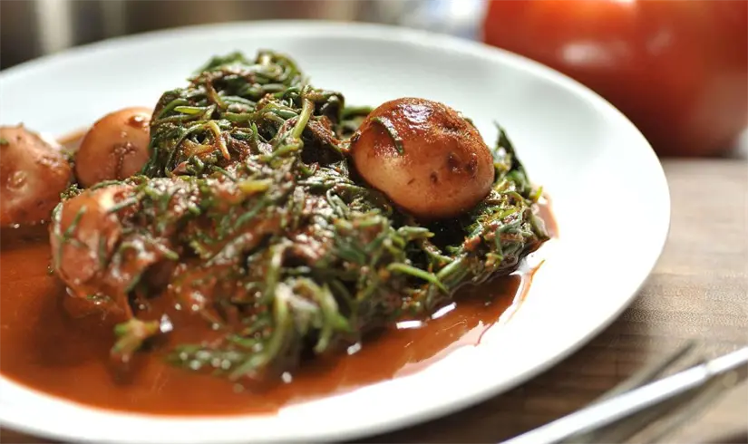 Los romeritos son el platillo favorito de la presidenta, Claudia Sheinbaum para las fiestas navideñas. Foto: Cortesía