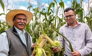 Productores de estos 8 estados deben actualizar sus datos de Producción para el Bienestar