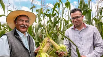 Productores de estos 8 estados deben actualizar sus datos de Producción para el Bienestar