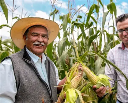 Productores de estos 8 estados deben actualizar sus datos de Producci&oacute;n para el Bienestar