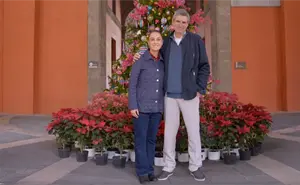 Presidenta Sheinbaum desea feliz Navidad a todas las familias mexicanas