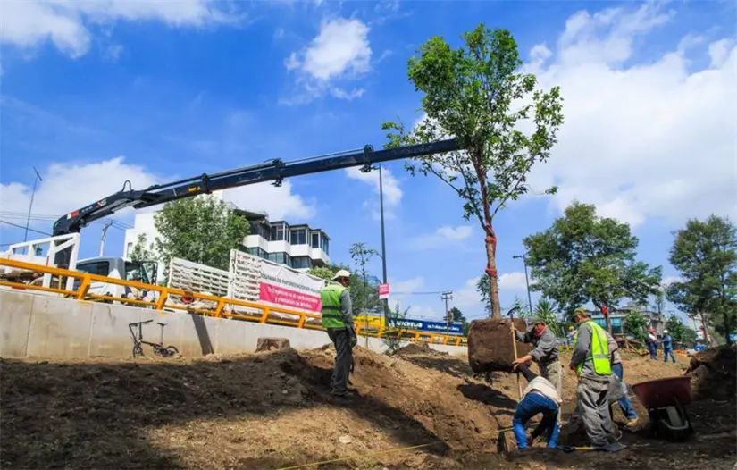 Las calles arboladas generan una mayor percepción de seguridad y fomentan el tránsito peatonal, fortaleciendo la vigilancia natural en el espacio público.