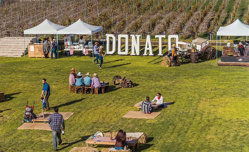 Si eres fan del vino, no te puedes perder el Viñedo Donato en Querétaro. Foto: cortesía.