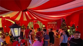 Miles de Turistas disfrutan del Gran Acuario Mazatlán en las vacaciones decembrinas