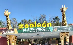 Estos días la entrada es gratis al ZooLeón; qué horarios maneja