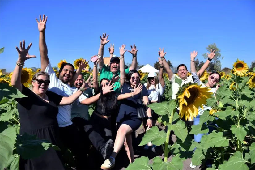 Cuánto dura la temporada de girasoles de Mocorito, Sinaloa. Foto: Cortesía