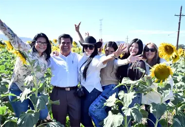 Abre el campo de girasoles del Pueblo M&aacute;gico de Mocorito y este es el costo de la entrada