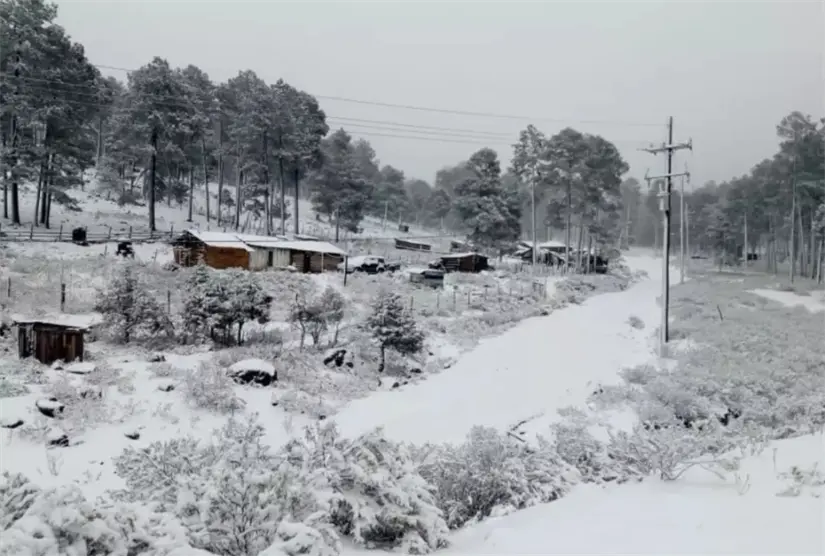 La Rosilla se considera el pueblo más fríos de todo México. Foto: Cortesía