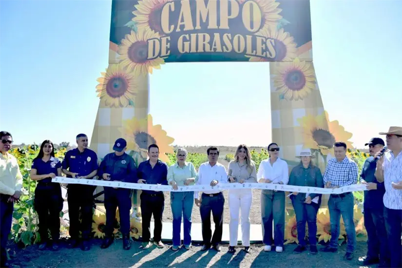 Inauguran el campo de girasoles en Mocorito: Foto: Cortesía