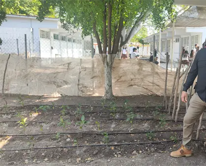 Un huerto escolar que siembra nuevas formas de ver el mundo en el Conalep I ubicado en Culiacán